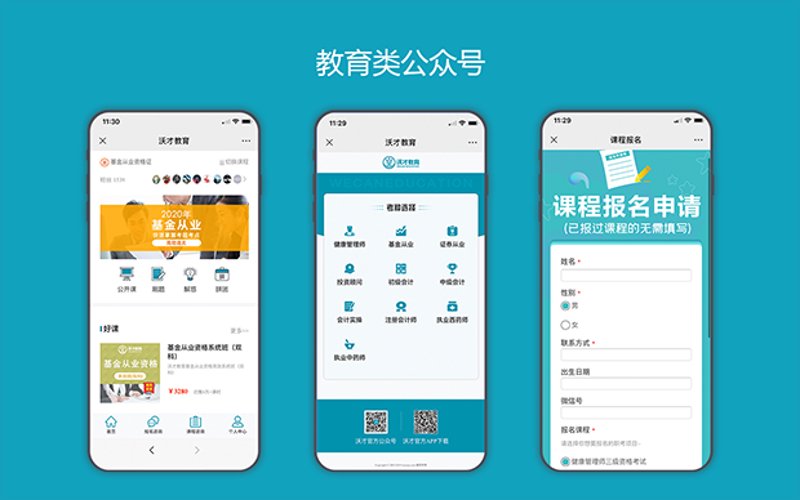 访谈记录：揭秘网络科技公司的幕后故事